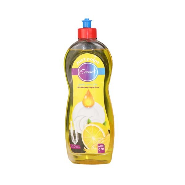 Dish Washing Liquid Soap 600 ml - Image 2